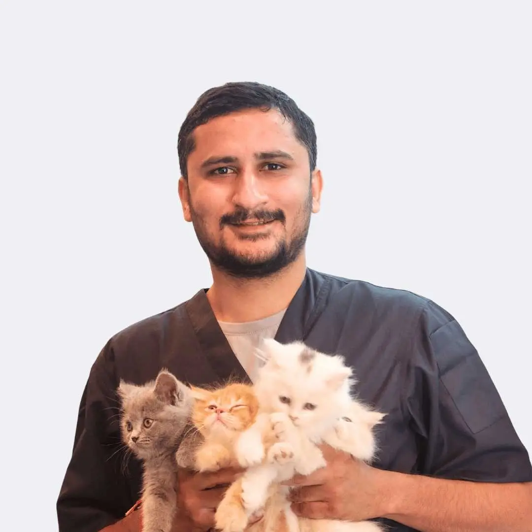 Dr Harsh
